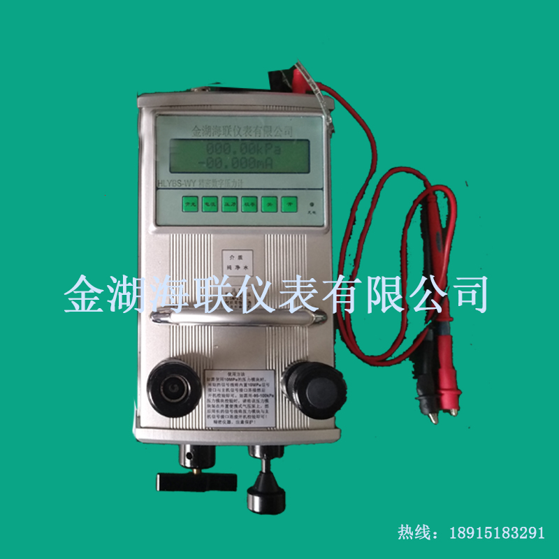 YBS-WS氣壓精密數(shù)字壓計